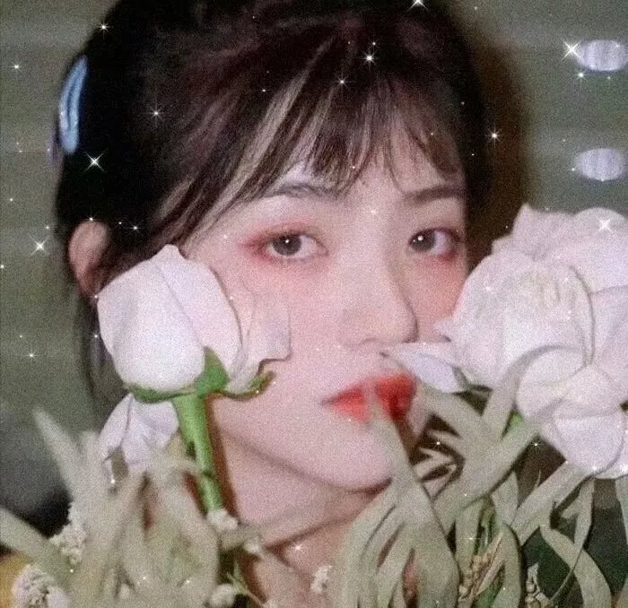 怪物家庭